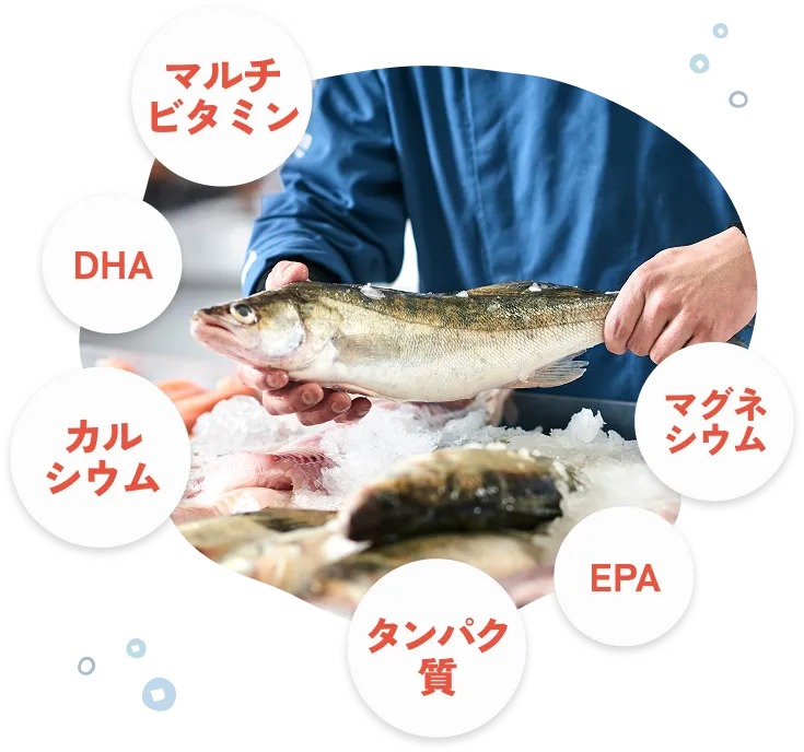 栄養素