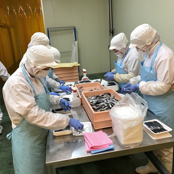 魚を包装する製造工程の様子